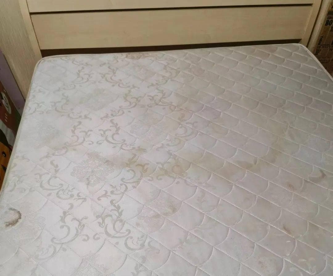 建议所有租房女生都套床笠！