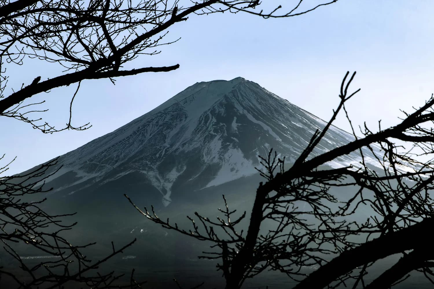 富士山生态保护，我们每个人的责任