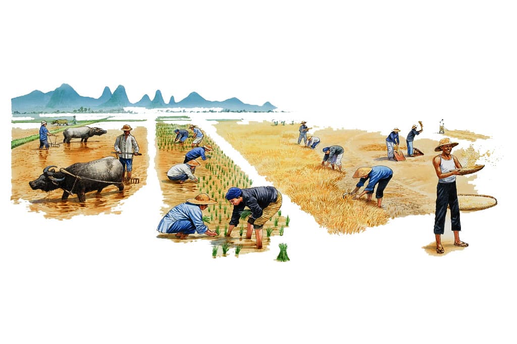 冬瓜种植技术全攻略：从土壤选择到病虫害防治