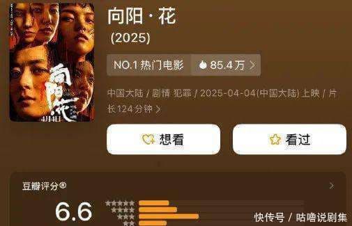 赵丽颖新片《向阳·花》豆瓣开分6.6引发争议，6成评分在三星以下