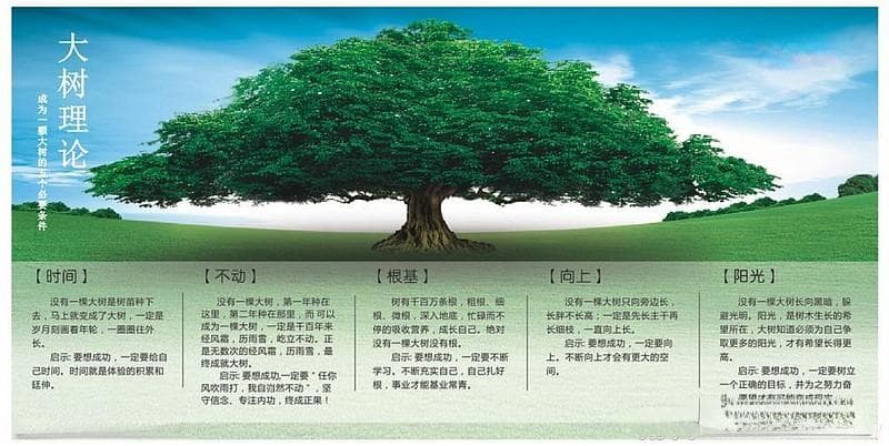 股市投资领域的四大流派