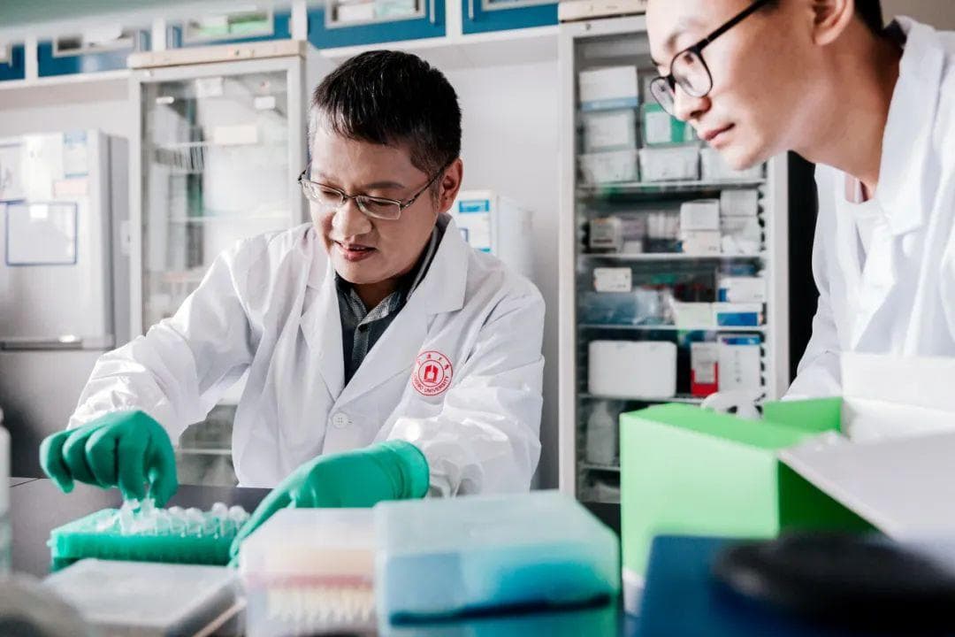 宁波大学科研团队在炎症反应研究方面取得新进展