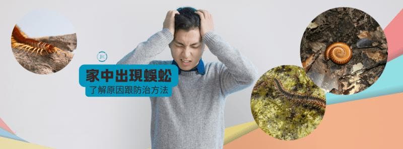 【防治项目｜除蜈蚣】家中出现蜈蚣？分析原因与5大防治方法！