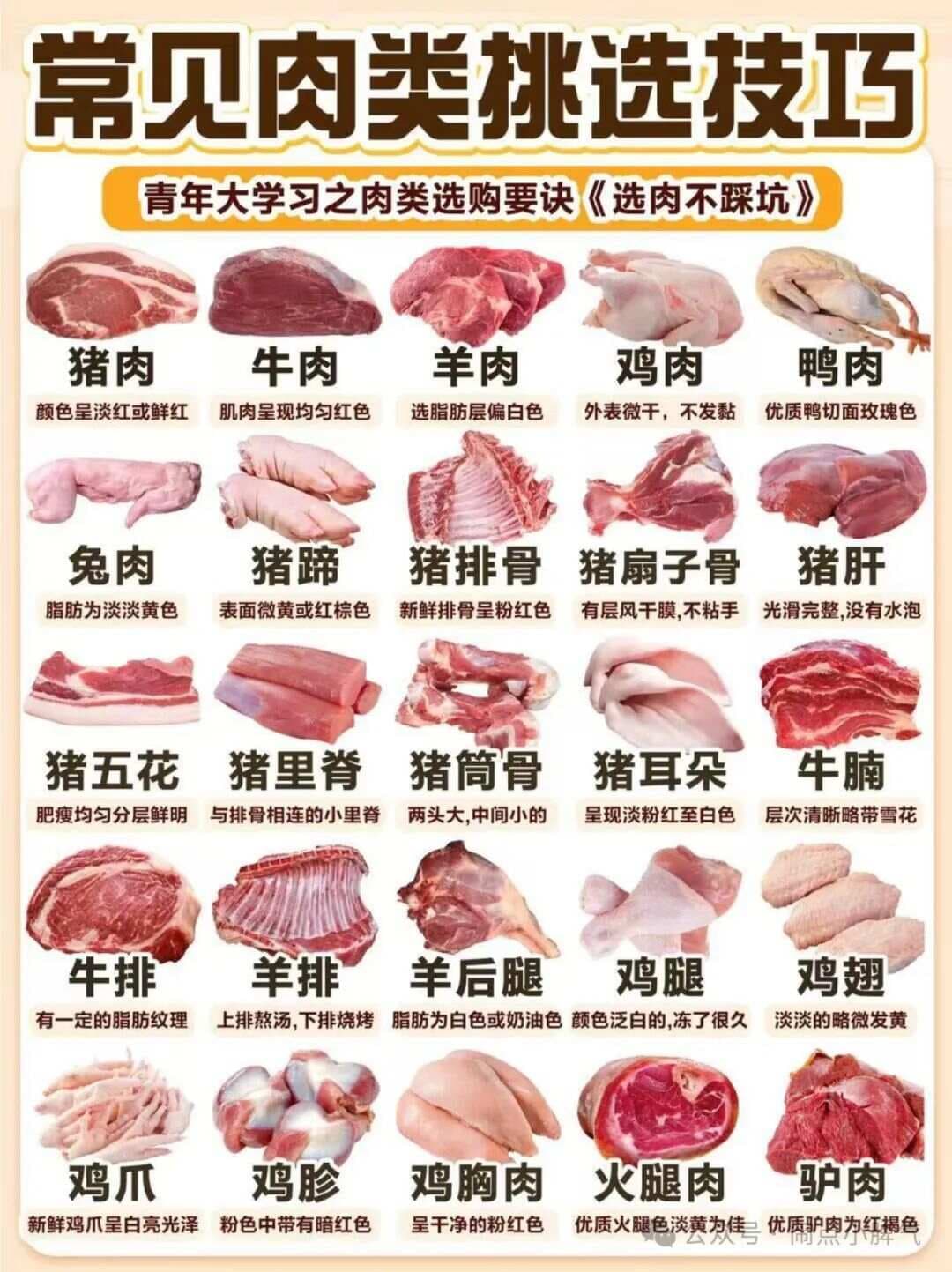 挑肉有门道，常见肉类挑选秘籍大公开
