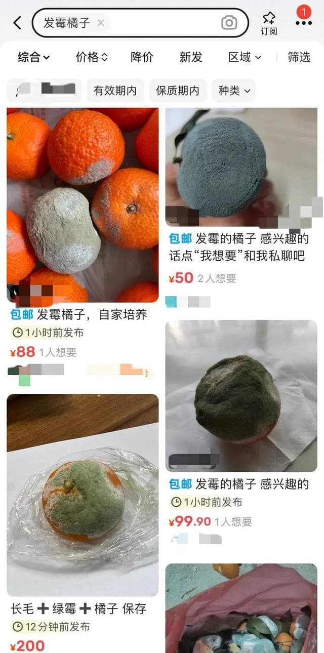 发霉橘子卖599元一个？网友：买来干啥？医生提醒→