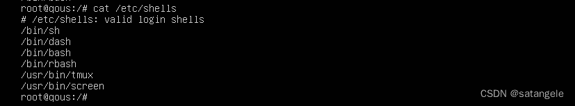 Ubuntu 启用 zsh 并进行美化（oh-my-zsh）