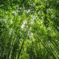 画江湖不良人是哪个朝代的