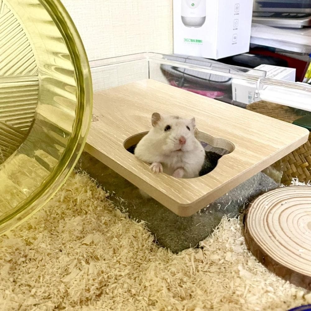 仓鼠要怎么洗澡？沐浴沙又该如何使用？更换频率、挑选撇步 ...