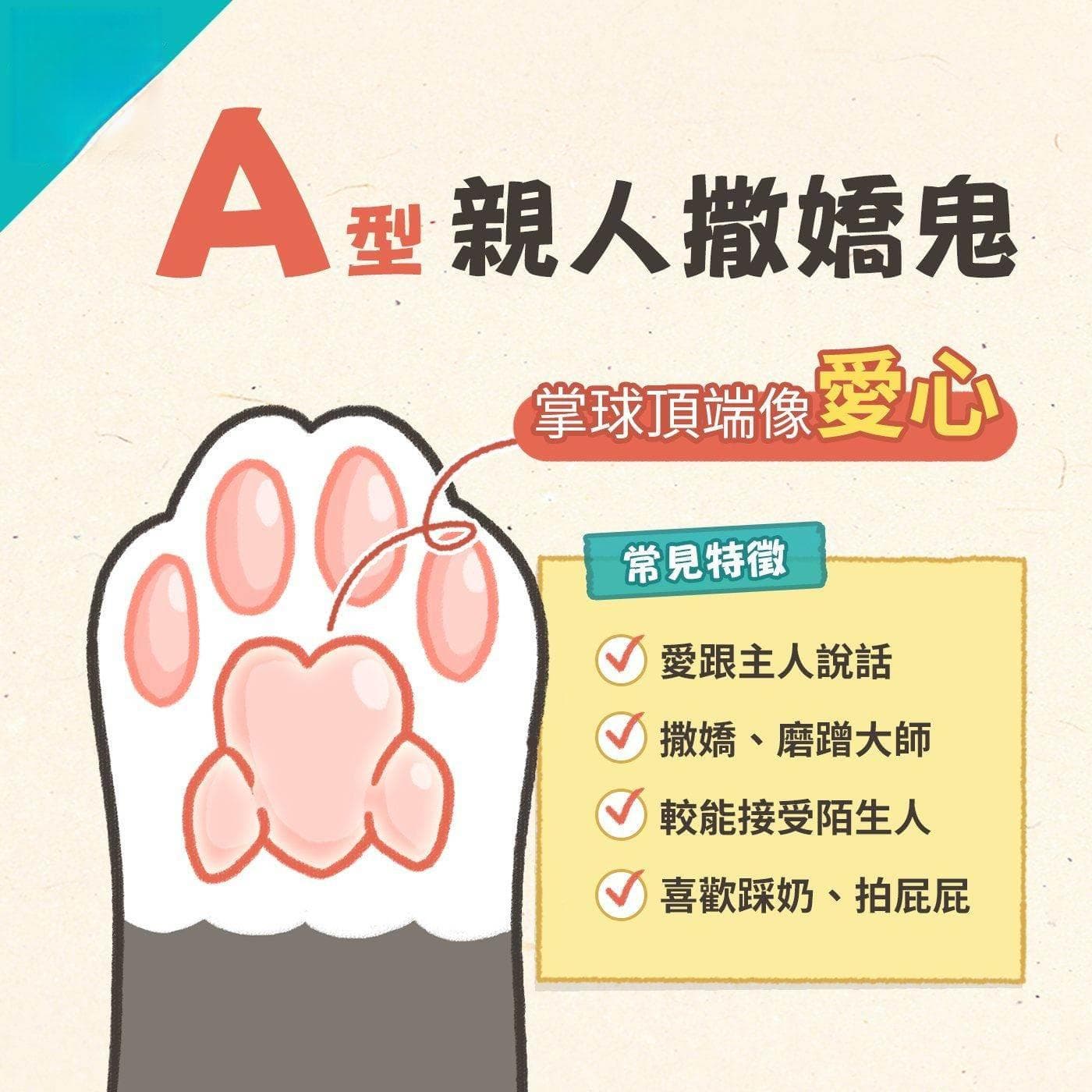 猫咪肉球的秘密：透过肉球形状解读猫咪性格