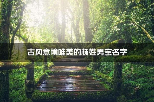 古风意境唯美的杨姓男宝名字推荐