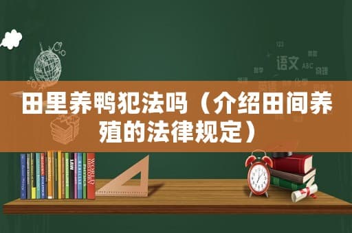田里养鸭犯法吗（介绍田间养殖的法律规定）