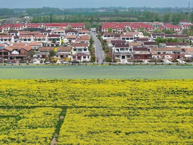 楚雄旅行攻略：多种交通方式全面解析，如何轻松抵达楚雄指南