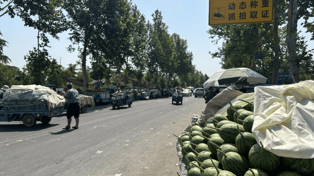 网传西瓜价格“跳水”？记者实探郑州西瓜批发集散地