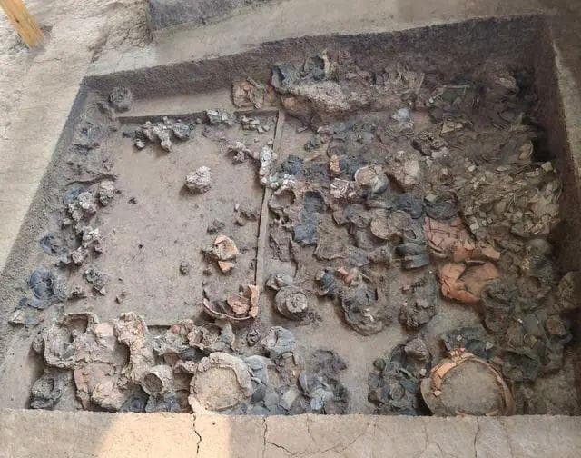 距今约5000年！河南发现大汶口文化时期最大墓葬