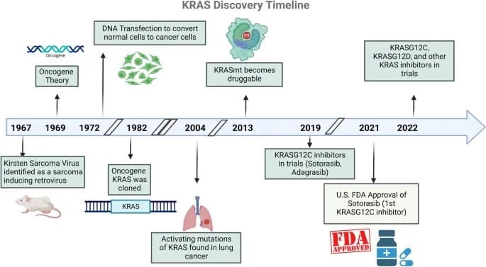AACR 2024：探索KRAS抑制剂领域的新突破