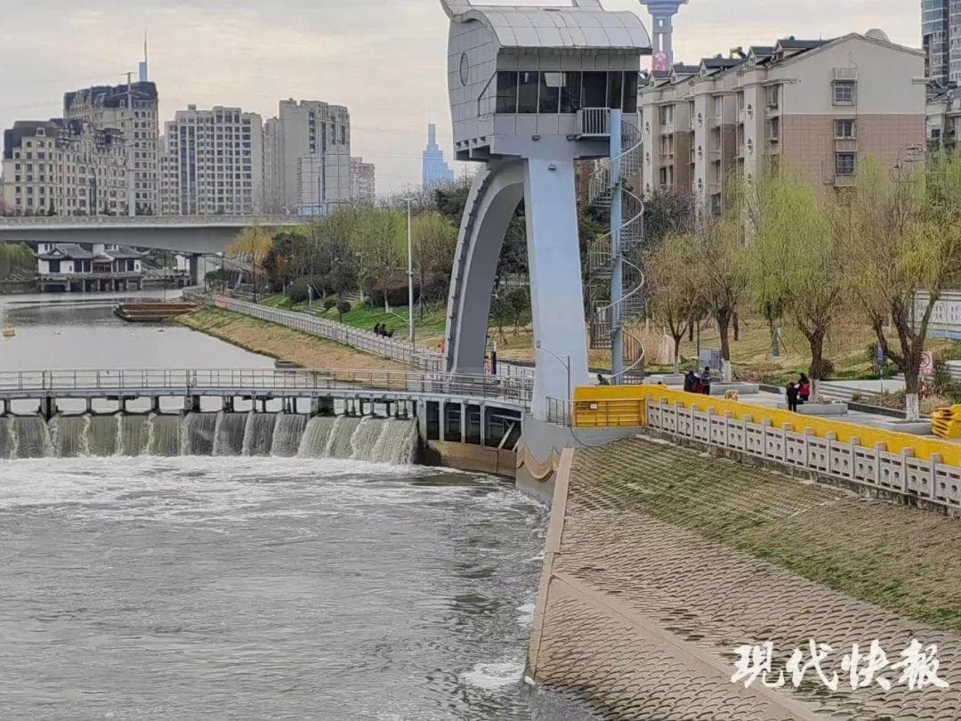 帮它回家，蟹蟹你！