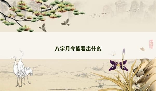 八字月令：解读生命的密码