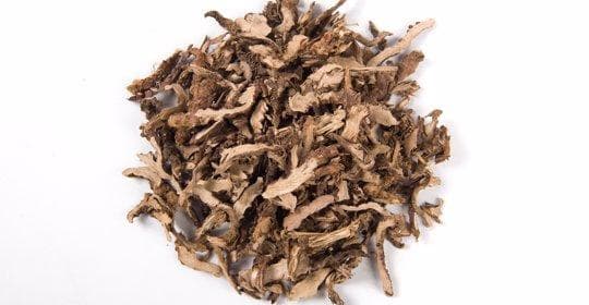 鹿茸菇：功效、禁忌与食用方式