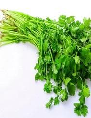 12种常见蔬菜的保鲜方法