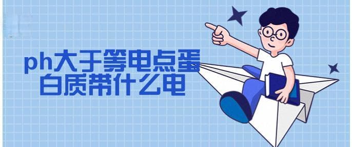 ph大于等电点蛋白质带什么电