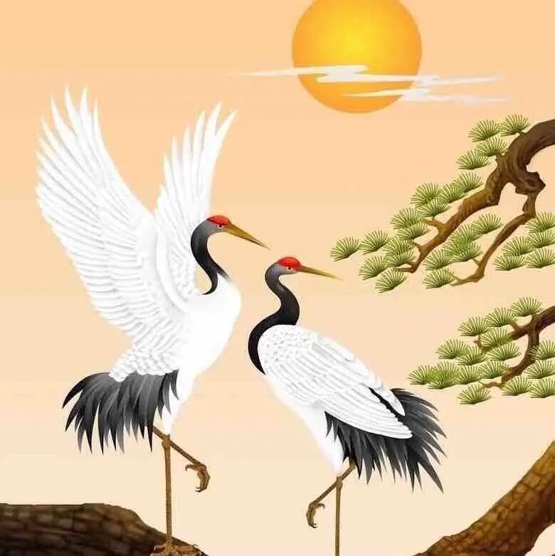 橄榄核盘油核好还是盘铁核好？看完您就知道了！
