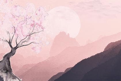 龙血树：药用价值与功效的全面解析