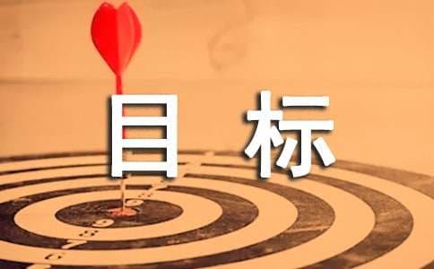 审计业务的目标和范围