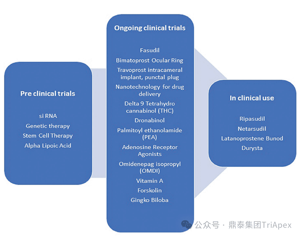 世界青光眼日 | 专家解读：血管异常早现，青光眼防治需“抢前一步”