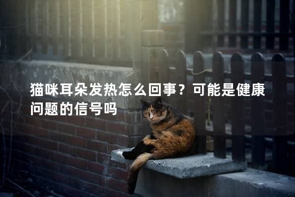 猫咪耳朵发热怎么回事？可能是健康问题的信号