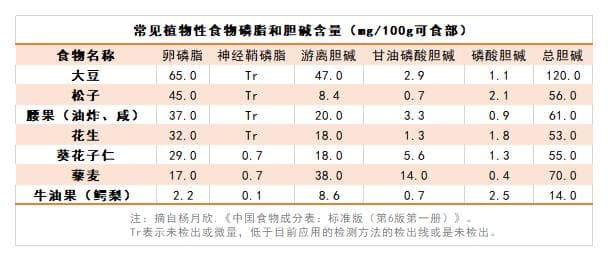 营养素那些事 | 磷脂与人类健康的前世今生缘