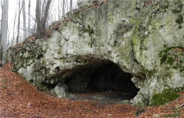 18000年前人类食人脑行为惊现考古证据