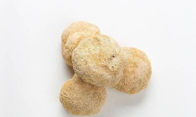 猴头菇：秋冬养生新宠，提升免疫力！
