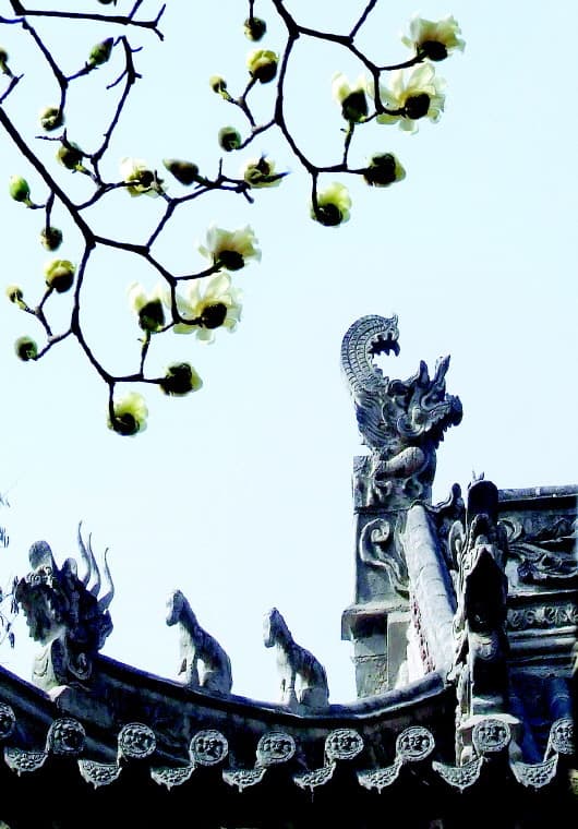 40多所明代四合院保存至今　揭秘天水街巷里的历史记忆