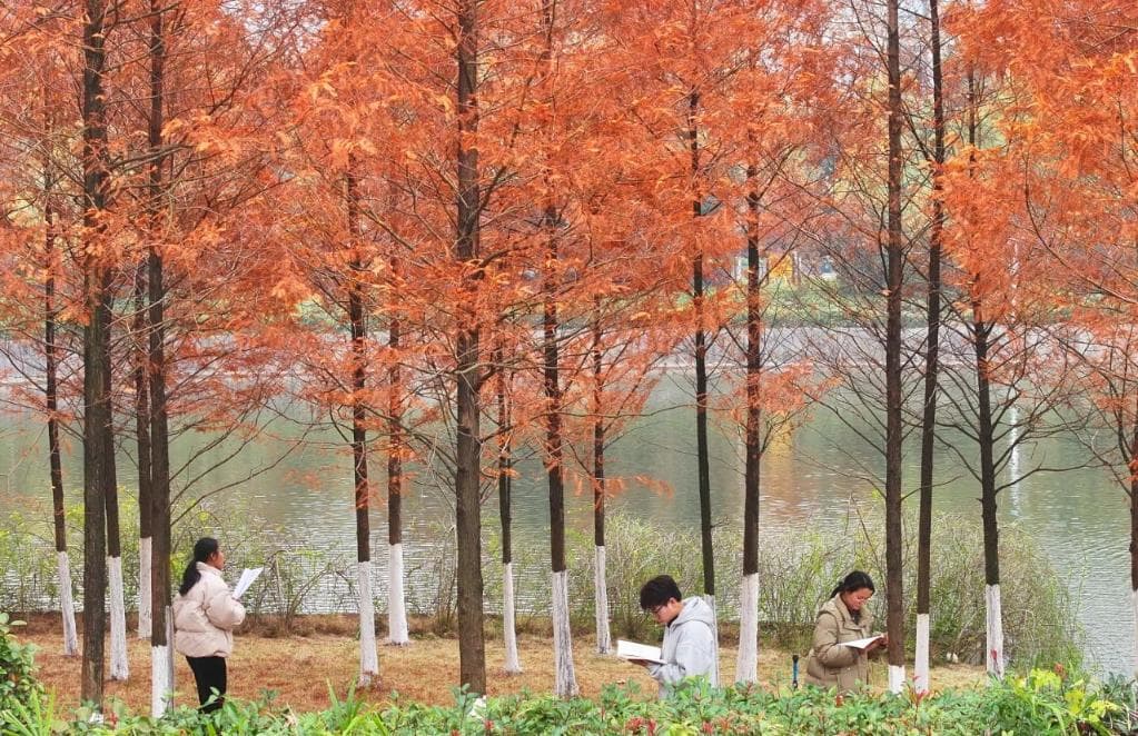 大学生开始感到孤独？如何破解高校“陌生人现象”