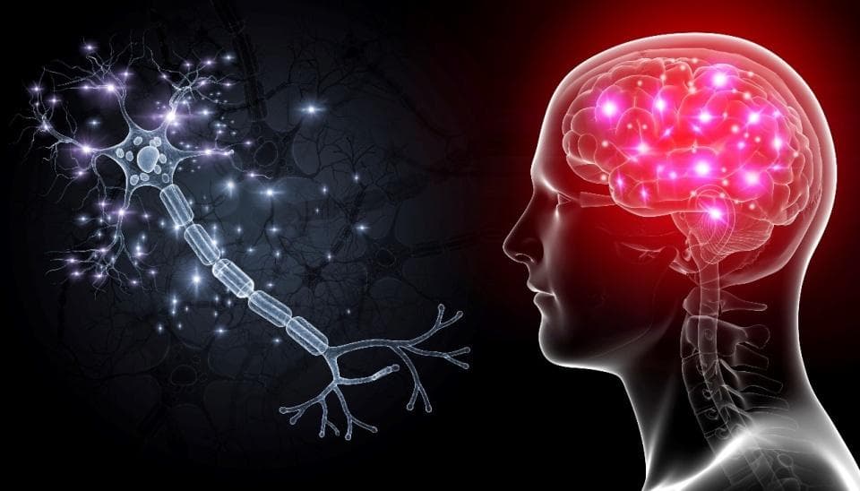 最新研究发现死亡后的神秘脑波，灵魂出窍竟是大脑最后的狂欢？