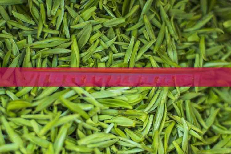 缓解失眠：适合睡前饮用的助眠茶全指南