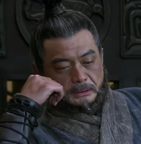 魏延不死蜀汉不灭：一段历史的解读