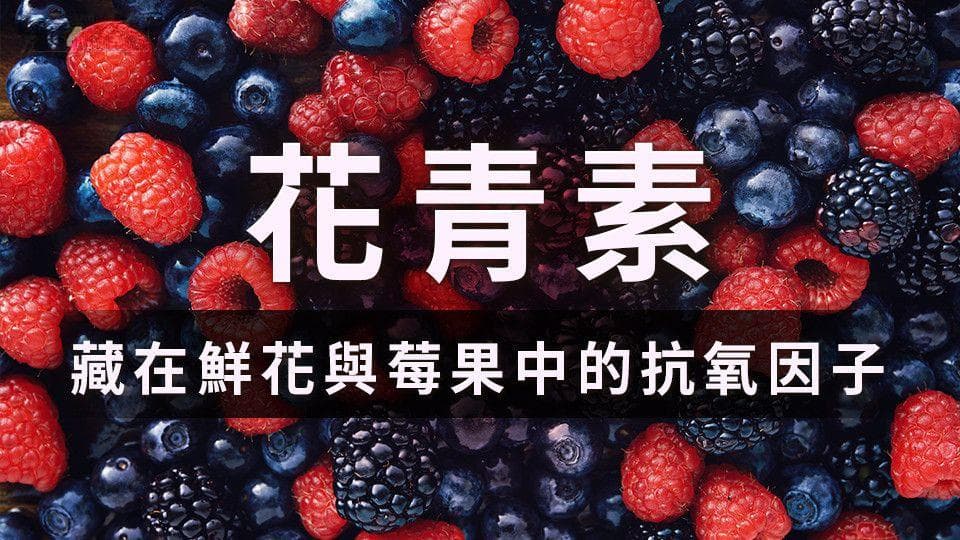 花青素的功效与食物来源：从护眼到抗癌的全面解析