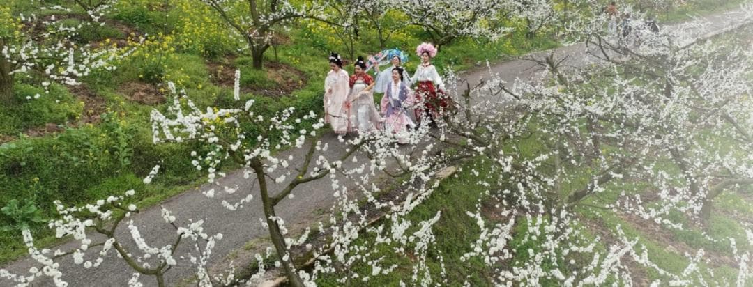 多地抢抓“春日经济”发展契机，推出多彩体验活动