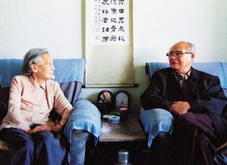 许国志：中国系统工程科学的主要创建人之一