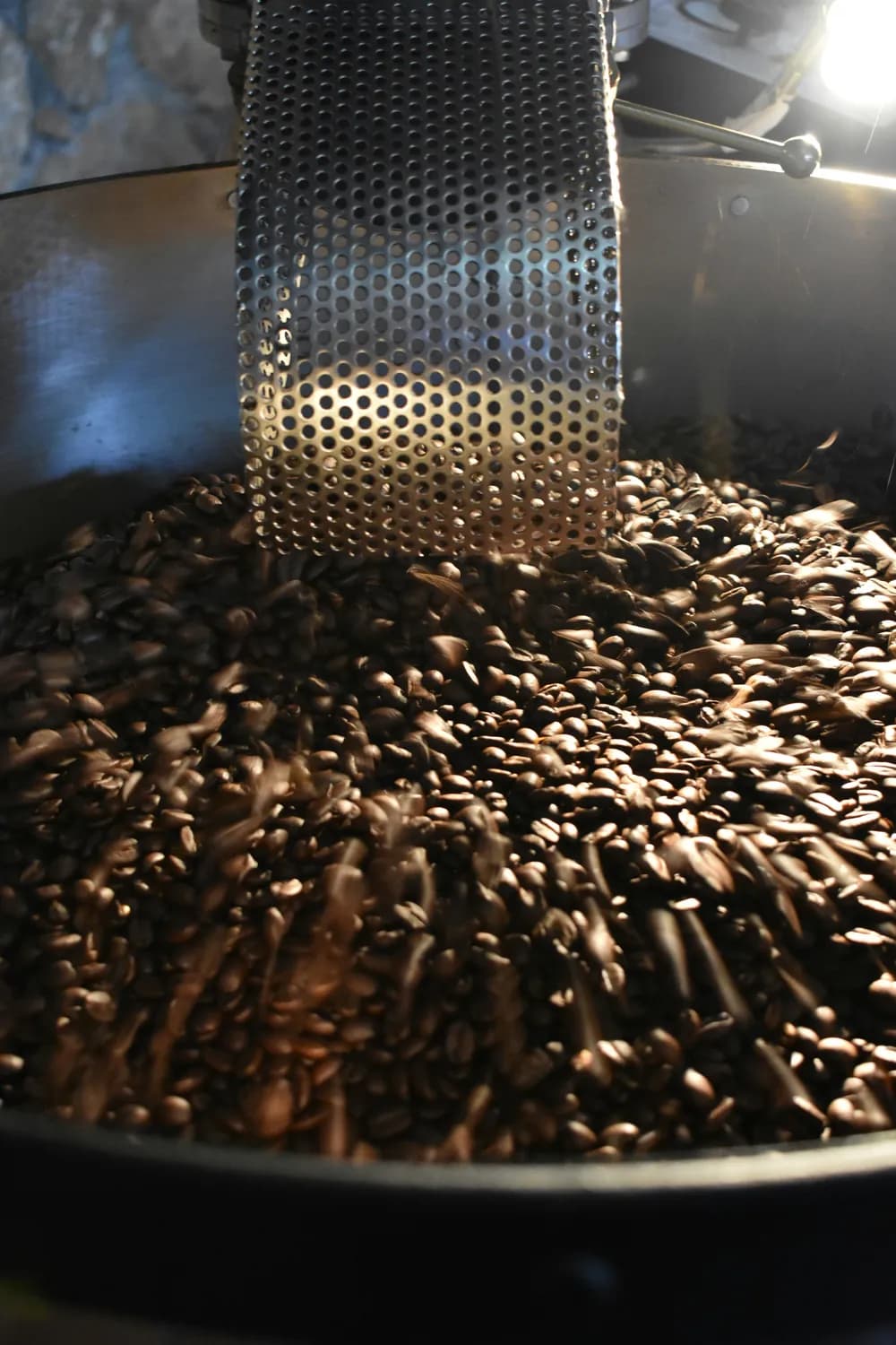 冻干技术提升水蛭药效，已在多领域展现应用价值