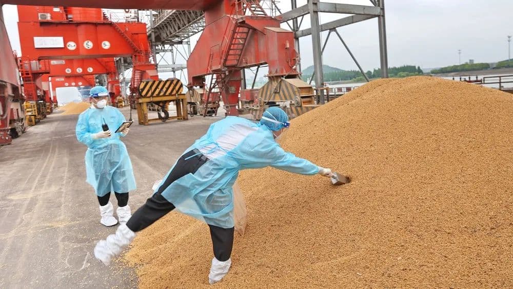 中国粮食进口重心正转向南美