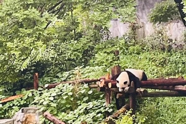 南京两日游攻略：两条经典路线全解析