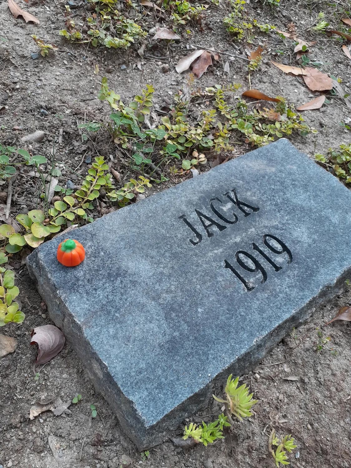 从Jack到马云：这个名字有多厉害？