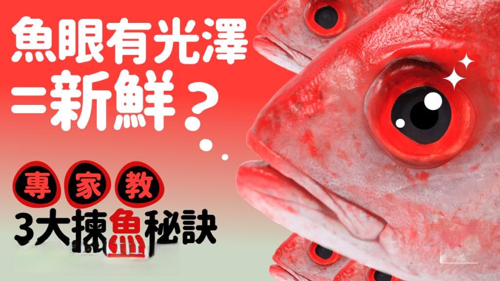 买鱼要看鱼眼？有光泽即新鲜？专家教3大挑鱼秘诀 避开甲醛防腐剂