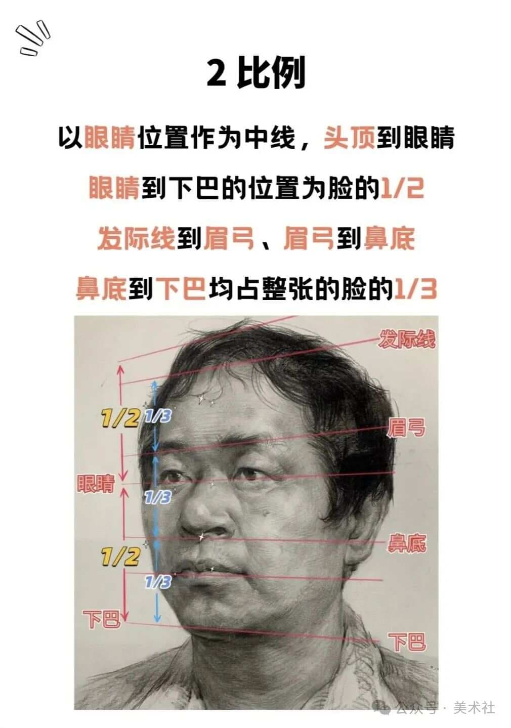 人物素描必备的5大公式：网友：实在是太有用了