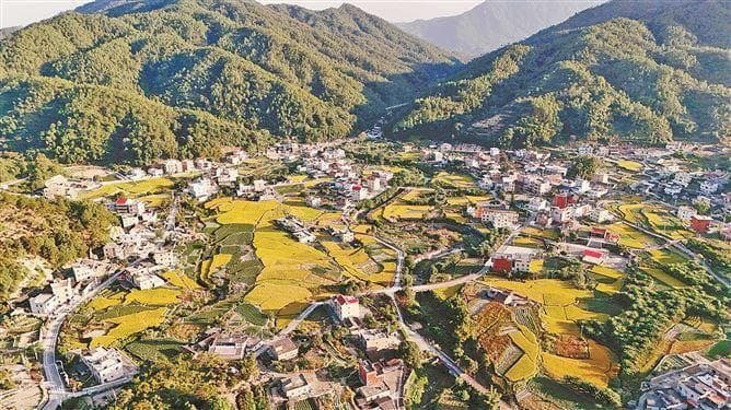 同安区：打造“五个美丽”建设样本，乡村振兴见实效