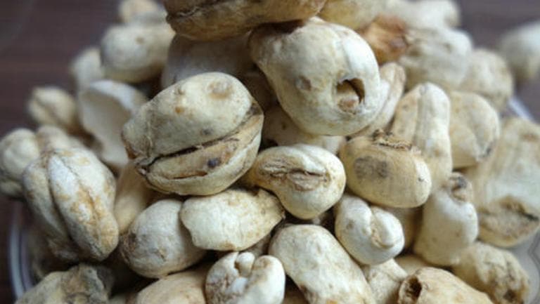 藏贝母的功效与作用、禁忌和食用方法