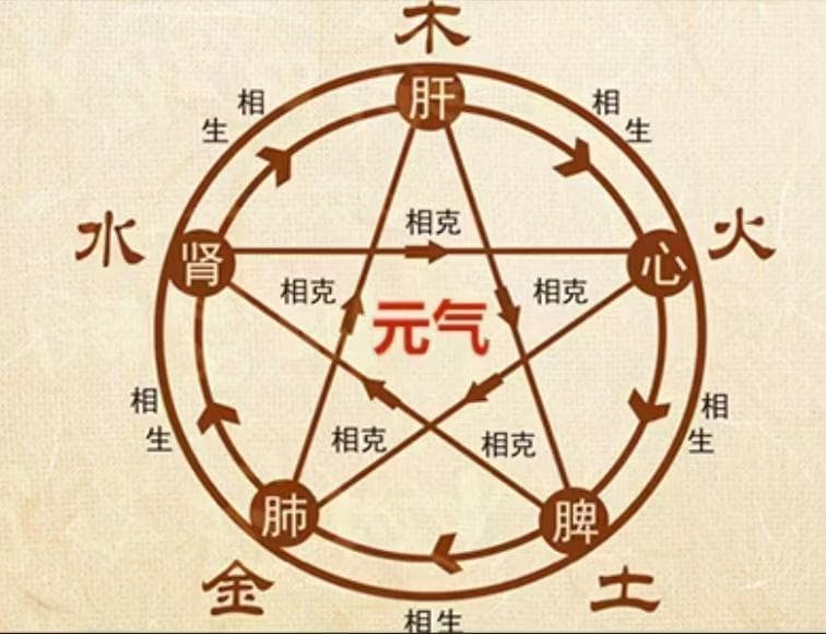 元气对人体的重要性,身体出现什么情况需要增补元气？
