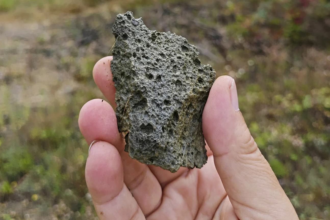 新研究发现，第一批欧洲人140万年前抵达乌克兰